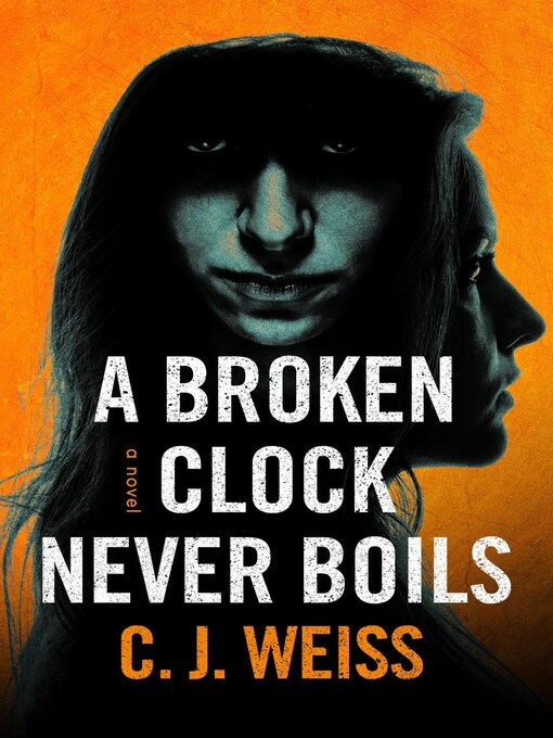Cover image for A Broken Clock Never Boils